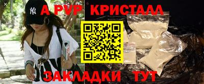 прущие крисы Донской